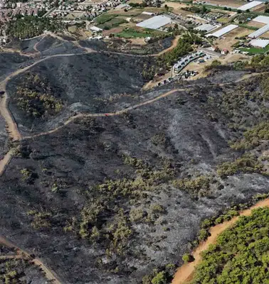 Fethiye’de Alevlerin Ardından Geriye Siyah Bir Örtü Kaldı