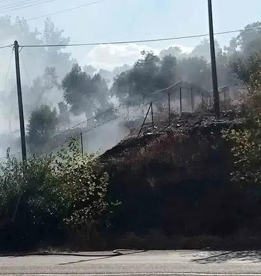 Milas-Söke hattında korkutan yangın: Ekipler alevlere geçit vermedi