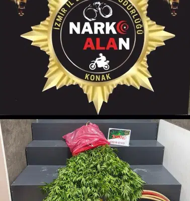 Konak’ta bahçeyi kenevir tarlasına çevirmiş: Emniyetten kaçamadı