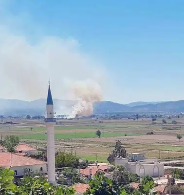 Milas’ta sazlık yangını paniği: Ekipler alevlere geçit vermedi