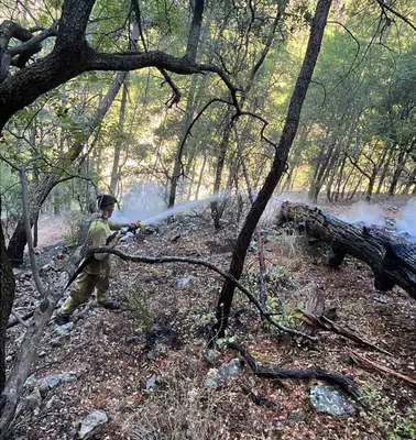 Dalaman'da orman yangını paniği: Ekipler zorlu arazide saatlerce mücadele etti