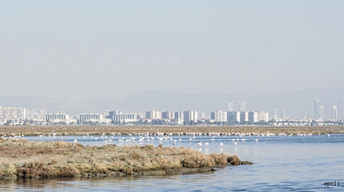 İzmir Körfezi Geçiş Otobanı Tartışmaları Büyüyor!