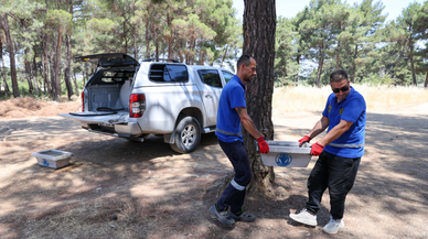 Buca Belediyesi’nden can dostları için hayati hamle