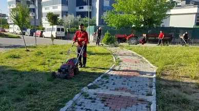 Menderes'te Ot Seferberliği