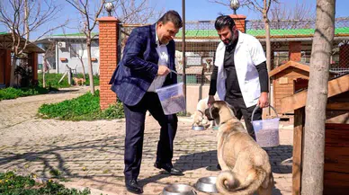 Kağıt İsrafı Tarih Oluyor