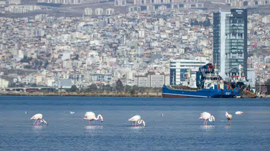 “İzmir Yenileniyor” markası tescillendi