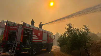 İzmir’de Zeytinlikteki Yangına Hızlı Müdahale, Yerleşimler Tahliye Edildi