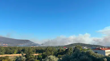 Foça'daki orman yangını için ekipler seferber oldu