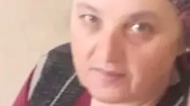 Zonguldak'ta eşek arısı sokması can aldı