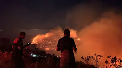 Gömeç'teki orman yangını İzmir'e sıçradı, ekipler sıkı mücadeleyle alevleri kontrol altına aldı