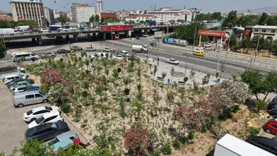 İzmir'de Mikro Orman Projesi ile yeni yeşil alan hayata geçirildi!
