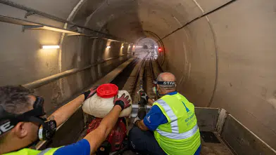Herkes uykuya dalınca onların görevi başlıyor