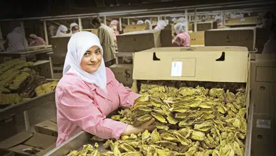 Ege İhracatçı Birlikleri ihracat rekorlarını otomatiğe bağladı