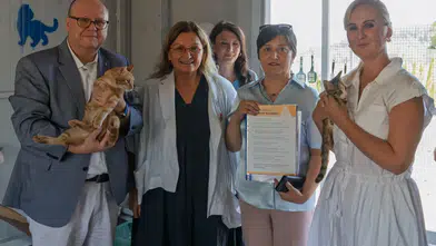 İzmir’de engelli kedilere sıcak bir yuva