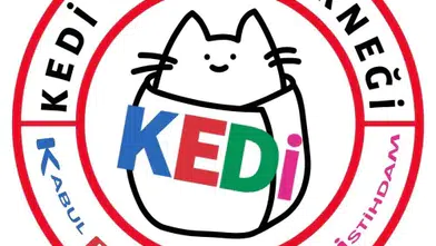 KEDİ Otizm Derneği: Özel eğitimde 'istisnasız' randevu sistemi hak ihlalidir