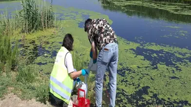 Gediz’de 7. Dönem Raporu: Yaz aylarında kirlilik yükselişe geçti