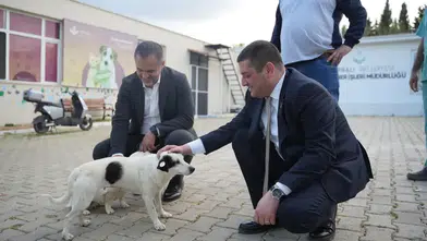 Torbalı Belediyesi Can Dostlar İçin Fark Yaratıyor