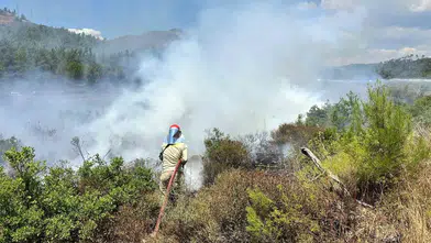 Marmaris'te korkutan alevler: Ekipler orman faciasını önledi