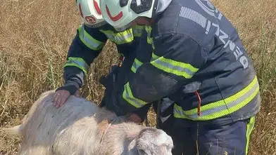 Tavas’ta nefes kesen operasyon: Kuyuya düşen keçiler için seferber oldular