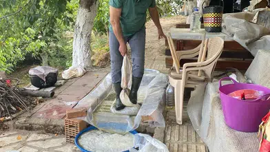 Fabrika üretimine inat asırlık gelenek: Karacasu’da pekmez mesaisi başladı