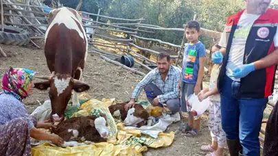 Muğla'da hayvancılıkta yeni dönem: İlk 24 saat için devreye alınan proje ile hedef yüzde 1'e inmek