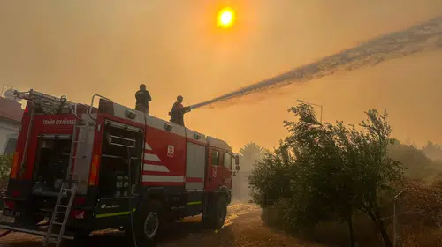 İzmir’de Zeytinlikteki Yangına Hızlı Müdahale, Yerleşimler Tahliye Edildi
