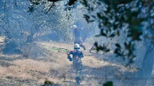 İzmir'de Alevler Kontrol Altına Alındı, Yangınla Mücadelede Koordineli Müdahale Başarı Getirdi
