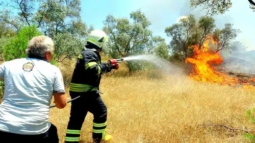 Muğla için kritik uyarı: Termometreler yükselecek, ormanlar için alarm verildi