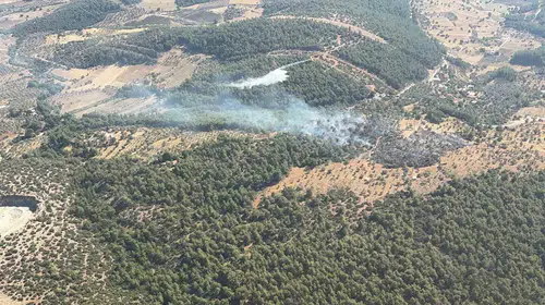 Milas'ta alevler paniğe yol açtı: Ekiplerin zamanla yarışı sonuç verdi