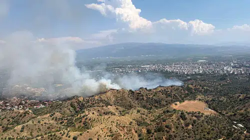 Nazilli’de zeytinlikler alevlere teslim: Ekipler havadan ve karadan seferber oldu