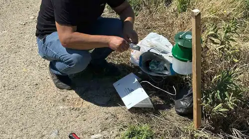 Köşk’te pamuk üreticisine teknolojik kalkan: Zararlılarla mücadele başladı