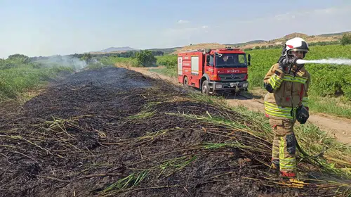 Manisa'da alevlerle zorlu mesai: Bir günde 50 noktada yangın alarmı