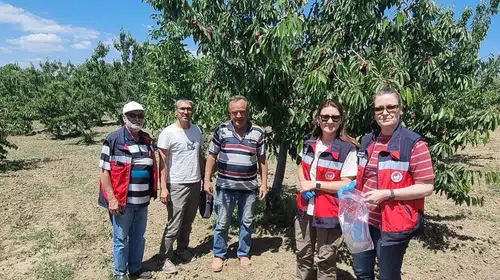 Kütahya’da kiraz sezonu öncesi kritik denetim: Sofraya ulaşmadan mercek altına alındı