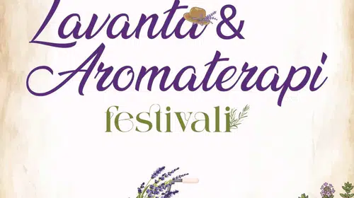 Didim mor renge bürünüyor: Lavanta festivali için geri sayım başladı
