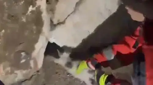 Yatağan'da gece yarısı operasyonu: Taş duvarların arasına sıkışan kedi kurtarıldı