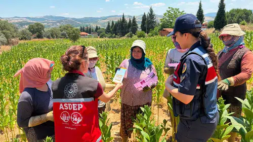 Tütün tarlasında hayat kurtaran ziyaret: Jandarma kadınlara KADES’i anlattı