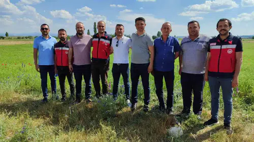 Kütahya toprağında yeni dönem: Çörek otu tarlaları mercek altında