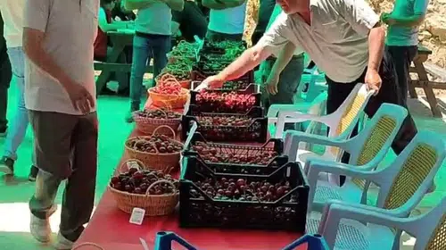 Kütahya’da kiraz bereketi: Kutlubeyler köyünde festival rüzgarı esti