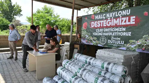 Manisa'da çilek üreticisinin yüzünü güldüren hamle: Yüzde 75'i belediyeden