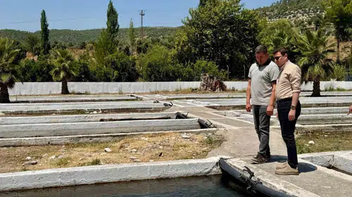 Bozdoğan’da saha mesaisi: Kaymakam Sözen üretim tesislerini mercek altına aldı