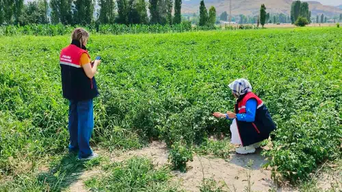Afyonkarahisar'da toprak nöbeti: Tarım arazileri mercek altında