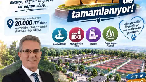 Nazilli'de sokak hayvanları için dev yatırım: Pati Köy'de geri sayım başladı
