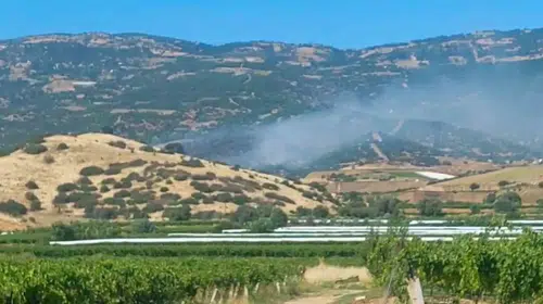Manisa Sarıgöl'de ormanlık alanda korkutan yangın: Ekipler teyakkuza geçti