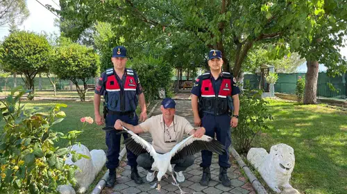 Manisa'da duyarlı vatandaşın şefkat eli: Yaralı leylek hayata tutundu