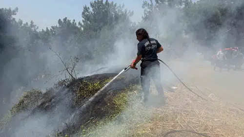 Aydın'da yangın mesaisi: İtfaiye ekipleri bir haftada yüzlerce noktaya yetişti