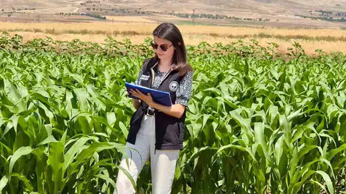Şuhut’ta tarımsal verimlilik için kritik denetim: Ekipler sahaya indi