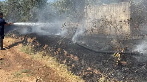 Köşk'te zeytinlik alarmı: Ekipler alevlerin önünü kesti