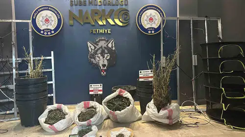 Fethiye'deki lüks villada uyuşturucu serası kurmuşlar: Bir tutuklama