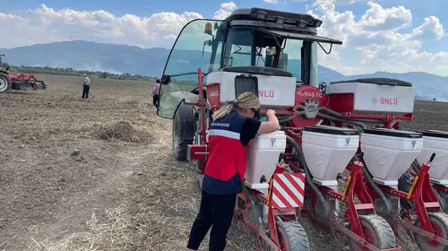 Simavlı çiftçiye bilimsel rehber: Mısır tarlalarında verim yarışı başladı