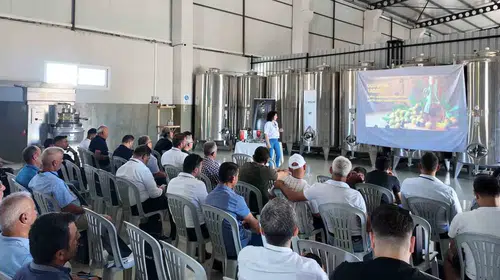 Zeytinyağında kaliteyi teknolojiyle buluşturdular: 200 uzmana özel eğitim